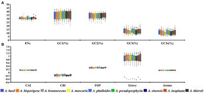 Analysis of synonymous codon usage patterns in mitochondrial genomes of nine Amanita species
